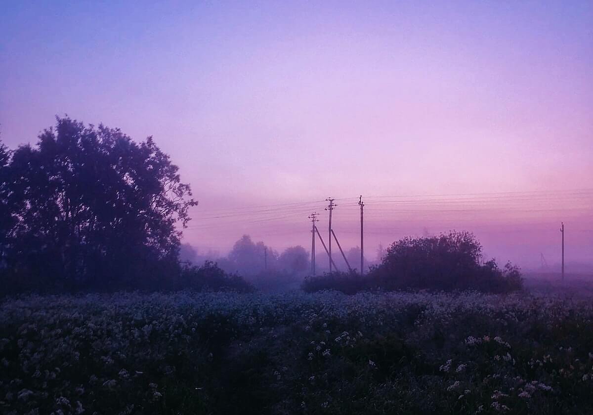 开云体育：点亮体育热情的智能娱乐平台